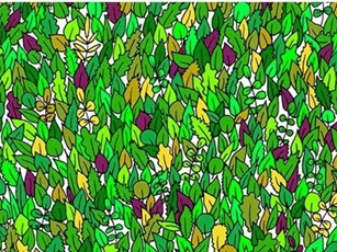 "Mờ mắt" vẫn không thể tìm ra đáp án đúng