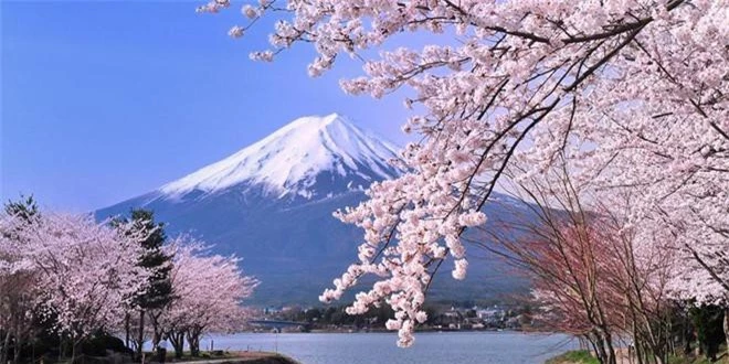 8. “Xứ sở phù tang” là...? "Xứ sở phù tang" hay "đất nước phù tang" là biệt danh của Nhật Bản. Theo sách “Chuyện Đông chuyện Tây”, phù tang là một loài cây trong truyền thuyết của nước Nhật, có hình dáng như cây dâu.