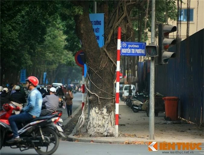 “Ma cay” bop co man ro giua ban ngay o Ha Noi-Hinh-5