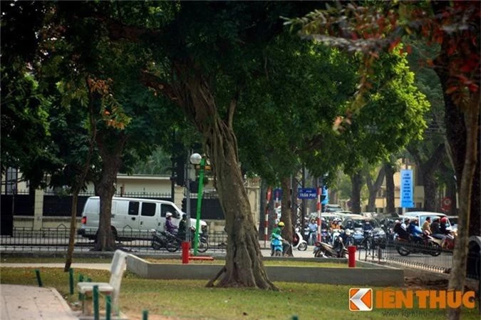 “Ma cay” bop co man ro giua ban ngay o Ha Noi-Hinh-7