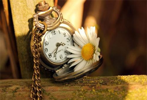 Giờ sinh "vàng" của 12 con giáp, vừa chào đời đã "hút tài hút lộc", mang vận may đến cho cả gia đình