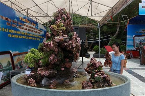 Tích góp đá quý nhiều năm rồi làm hòn non bộ khổng lồ, rao bán 2 tỷ đồng