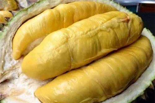 Chủ vườn sầu riêng mách bạn: Chọn sầu riêng chỉ cần nhìn- ngửi- nghe theo cách này là ra quả nhiều cơm hạt lép