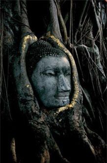 Cận cảnh tượng Phật kỳ lạ nhất thế giới