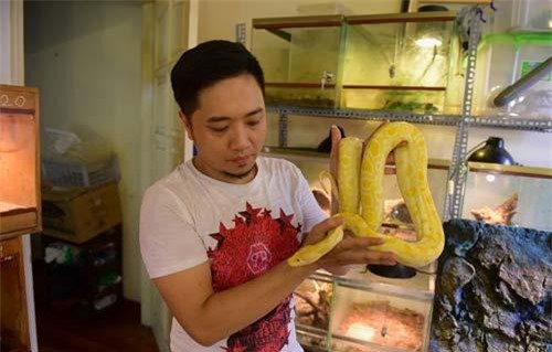 Rợn người xem chàng trai Hà thành đùa chơi với đàn trăn, rắn quý hiếm