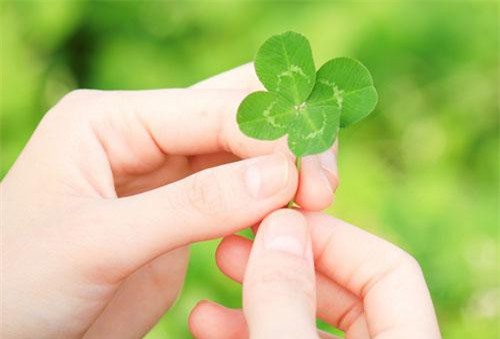 Thấy dấu hiệu này, thần Tài đang gõ cửa- quý nhân đang dẫn đường, may mắn nối đuôi nhau kéo đến nhà