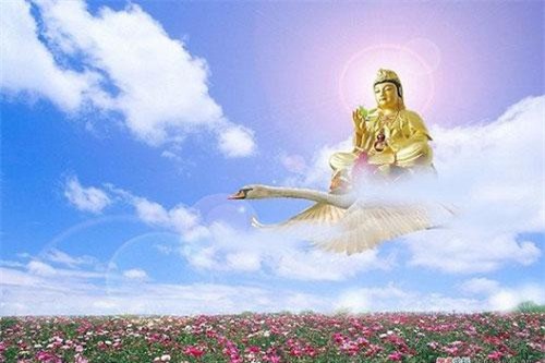 Phật dạy 5 điều mỗi con người cần phải tu dưỡng