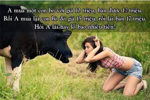 Bài toán tính lãi bán bò khiến nhiều người 'chào thua', còn bạn?