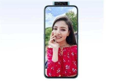 V17 Pro dùng tấm nền màn hình Super AMOLED kích thước 6,44 inch, độ phân giải Full HD Plus (2.400x.1080 pixel). Màn hình này được chia theo tỷ lệ 20:9, chiếm 91,65% diện tích mặt trước, tích hợp dải màu DCI-P3. 