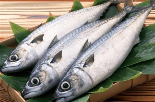 3 loại cá gây hại cho não thai nhi, bà bầu thèm mấy cũng không được động đũa