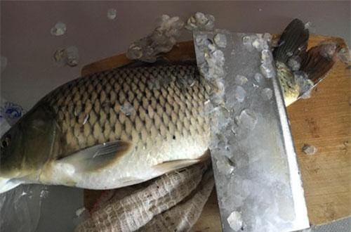 Bất kể là cá gì, nếu không làm sạch 3 bộ phận này thì món cá của bạn sẽ chẳng bao giờ ngon và hết được mùi tanh