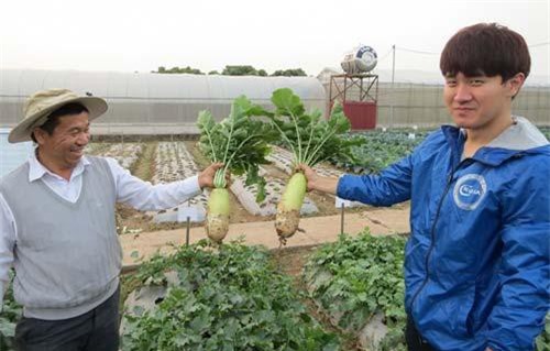 Cơ hội hợp tác nông nghiệp Việt Nam – Hàn Quốc