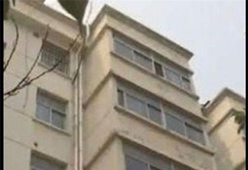 Nghe âm thanh lạ phát ra từ tủ quần áo, vợ chồng gỡ tấm gỗ phát hiện thứ đáng sợ