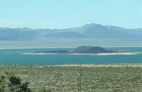 &#x1EDE; m&#x1ED9;t n&#x1A1;i g&#x1EA7;n nh&#x1B0; kh&#xF4;ng c&#xF3; s&#x1EF1; s&#x1ED1;ng, ng&#x1B0;&#x1EDD;i ta v&#x1EEB;a t&#xEC;m th&#x1EA5;y m&#x1ED9;t sinh v&#x1EAD;t c&#xF3; &#x111;&#x1EBF;n 3 gi&#x1EDB;i t&#xED;nh v&#xE0; khi&#x1EBF;n khoa h&#x1ECD;c cho&#xE1;ng ng&#x1EE3;p