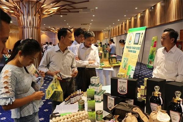 Thiết kế bao bì sản phẩm đặc trưng vùng miền phải tạo cảm xúc tò mò với khách hàng