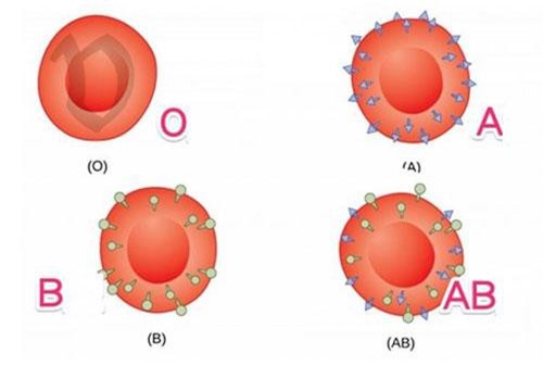 Trắc nghiệm: Tính cách khác biệt của bạn hồi trẻ và khi trưởng thành