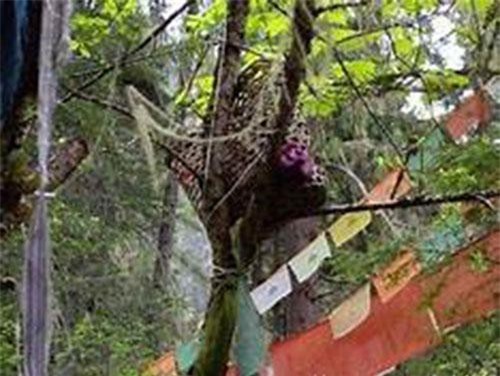 CLIP: 5 hủ tục kinh dị vẫn đang lưu truyền ở Trung Quốc