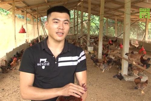 CLIP: Hot boy 9x làm giàu nhờ mô hình nuôi gà chín cựa