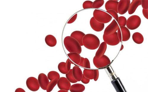 Cần chú ý những điều dưới đây nếu bạn hoặc người thân mang nhóm máu AB hiếm