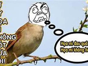 Điểm qua những trào lưu gây bão cực mạnh của giới trẻ năm 2018