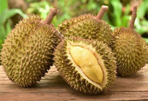 Quả sầu riêng trị giá hơn 1 tỷ đồng có gì đặc biệt?