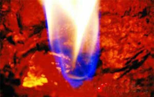 Bí ẩn về cánh đồng 'quỷ' ở Trung Quốc