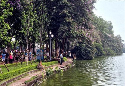 Dãy cổ thụ vươn mình xuống nước 'có 1-0-2' ở Hà Nội