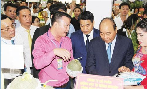 HTX ở Hà Nội góp phần tích cực trong xây dựng nông thôn mới