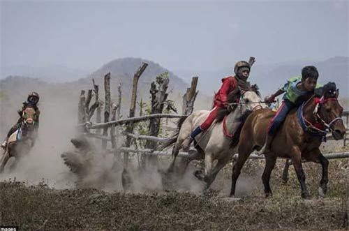 Rùng mình xem trẻ lên 5 ở Indonesia trổ tài đua ngựa