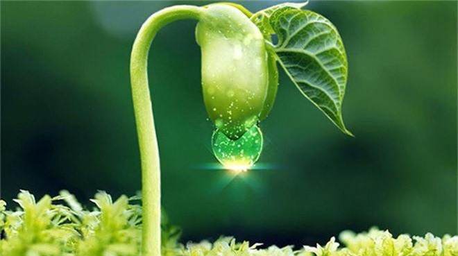 Thực phẩm tăng nội tiết tố nữ, 'đánh bay' nám sạm, khô hạn, mất ngủ