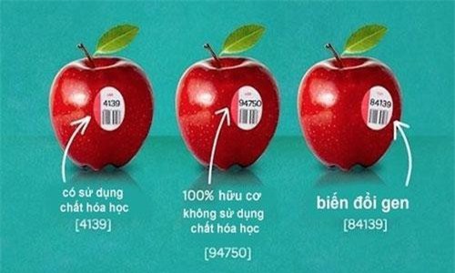Cách nhận biết thực phẩm GMO đơn giản nhất