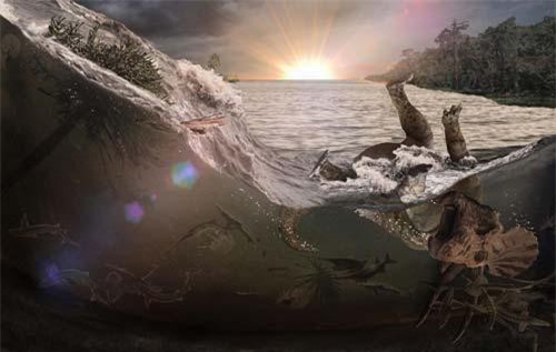 Nấm mồ hóa thạch tiết lộ thảm họa khiến khủng long tuyệt chủng