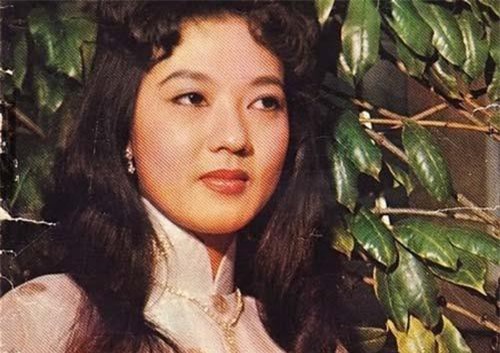 Những mỹ nhân là biểu tượng nhan sắc một thời của làng giải trí Việt