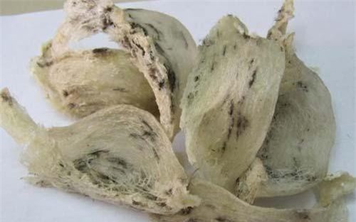 Xây dựng chuỗi yến sào hướng tới xuất khẩu