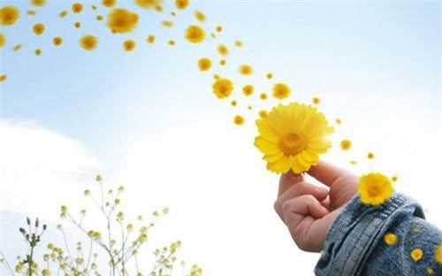 Con người đừng nghĩ hạnh phúc tự nhiên mà có, nó chỉ xuất hiện khi đảm bảo được điều kiện sau