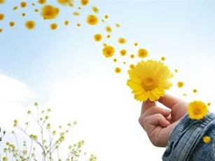 Con người đừng nghĩ hạnh phúc tự nhiên mà có, nó chỉ xuất hiện khi đảm bảo được điều kiện sau