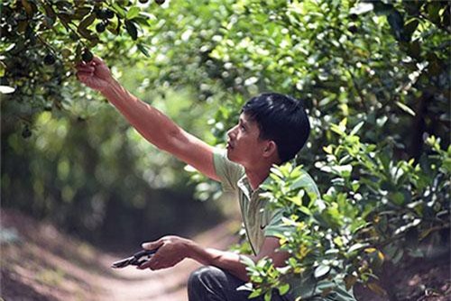 Hưng Yên: Hóng chuyện ở chợ, 7 năm sau anh nông dân đã thành tỷ phú