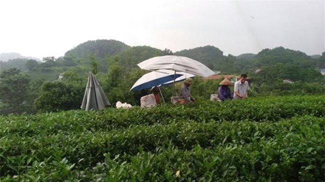 Tăng gấp đôi thời hạn được vay vốn từ Quỹ quốc gia về việc làm