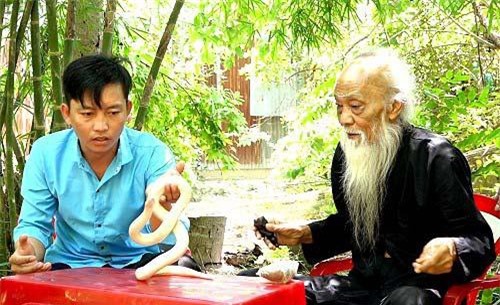 An Giang: Nuôi rắn hổ bạch tạng mắt đỏ, lưỡi đỏ, ai cũng muốn xem