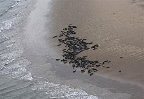 Bức ảnh này có ý nghĩa cực kỳ to lớn với người Anh, vì nó xảy ra bên một dòng sông được tuyên bố đã chết từ 70 năm trước