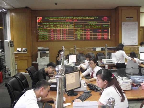 CIC giảm giá thông tin tín dụng lần thứ hai liên tiếp trong năm 2019