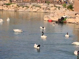 Chiêm ngưỡng các loài vật hoang dã tại vườn thú mở đầu tiên ở Nha Trang