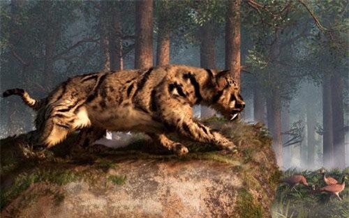 Loài mèo ăn thịt người từng khiến ai cũng sợ khiếp vía