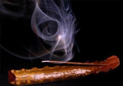 Muôn chiêu trị độc có '1-0-2' của loài người