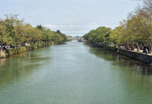 Ngắm tuyến đường cổ thụ đẹp mê mẩn của Cố đô Huế