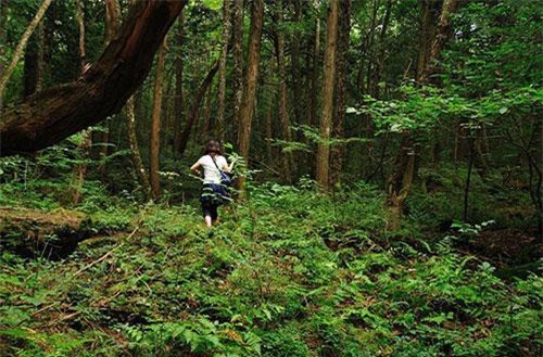 Những phát hiện rợn người bên trong những khu rừng bí ẩn nhất thế giới