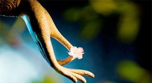 Phật dạy: Con người nếu thay đổi 2 thói nghĩ sau, vận số sẽ lập tức hanh thông