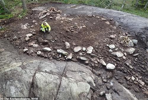 Phát hiện 'của quý' 3000 năm tuổi: Sự thật bất ngờ