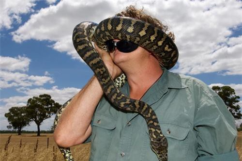 'Rợn người' chiến tích của người hành nghề bắt rắn độc