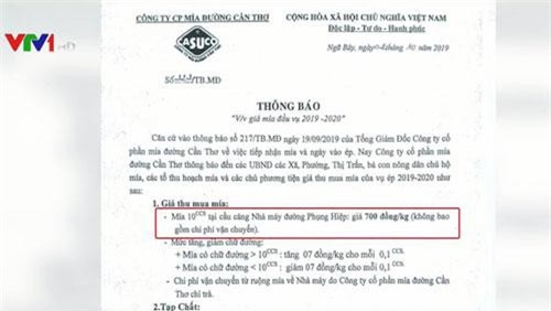 Công bố giá thu mua mía 700 đồng/kg, dự báo nông dân bị lỗ